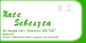 mate sebeszta business card